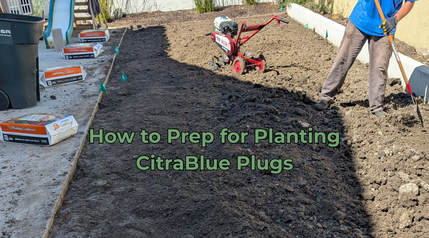 How to Prepare Soil for CitraBlue Grass Plugs | Lawn Preparation Guide ...